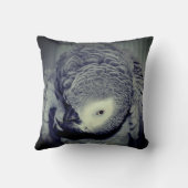 アフリカグレイのオウムかわいい鳥2 クッション (裏面)