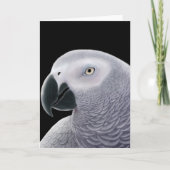 アフリカグレイのオウムのグリーティングカード カード (正面)