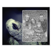 アフリカグレイのオウムのフレーム独自の8x10を作成 フォトプリント            (正面)