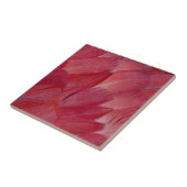 アフリカグレイのオウム羽デザイン タイル (側面)