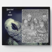 アフリカグレイのオウム自分の写真を追加 フォトプラーク (正面)