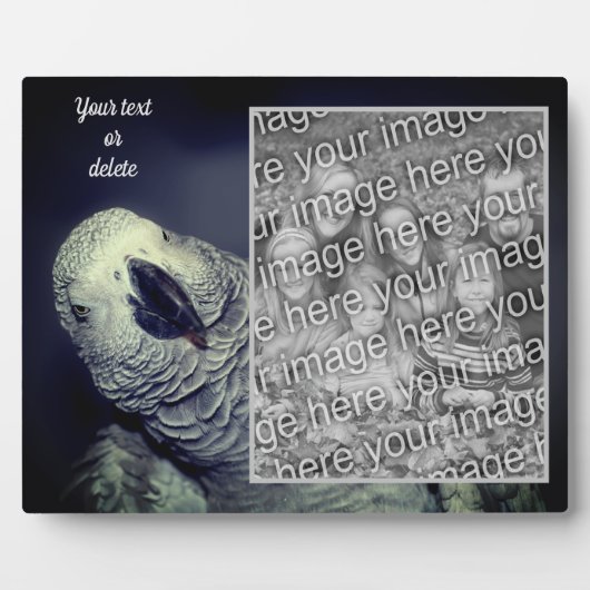 アフリカグレイのオウム自分の写真を追加 フォトプラーク (正面)