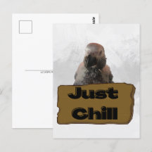 アフリカグレイのオウム、ポストクロッシング葉書