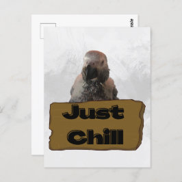 アフリカグレイのオウム、ポストクロッシング葉書 ポストカード