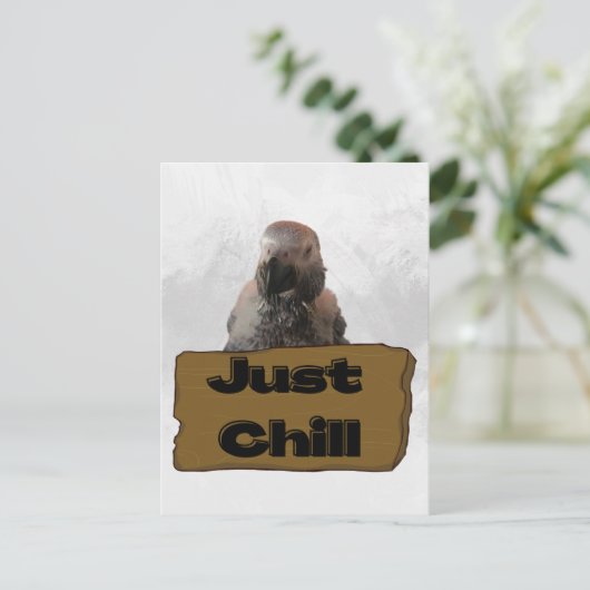 アフリカグレイのオウム、ポストクロッシング葉書 ポストカード (スタンド正面)