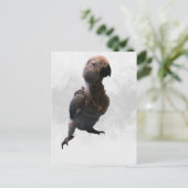 アフリカグレイのオウム、ポストクロッシング葉書 ポストカード (スタンド正面)