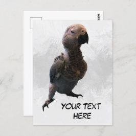 アフリカグレイのオウム、ポストクロッシング葉書 ポストカード