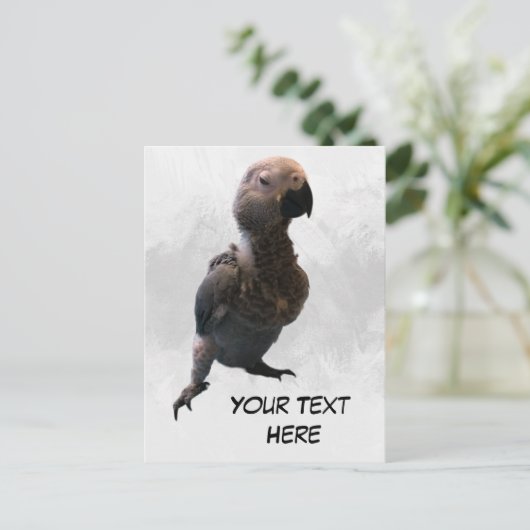 アフリカグレイのオウム、ポストクロッシング葉書 ポストカード (スタンド正面)