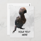 アフリカグレイのオウム、ポストクロッシング葉書 ポストカード (正面/裏面)