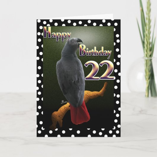 アフリカグレイコンゴインコ 水玉模様 22歳の誕生日 カード (正面)