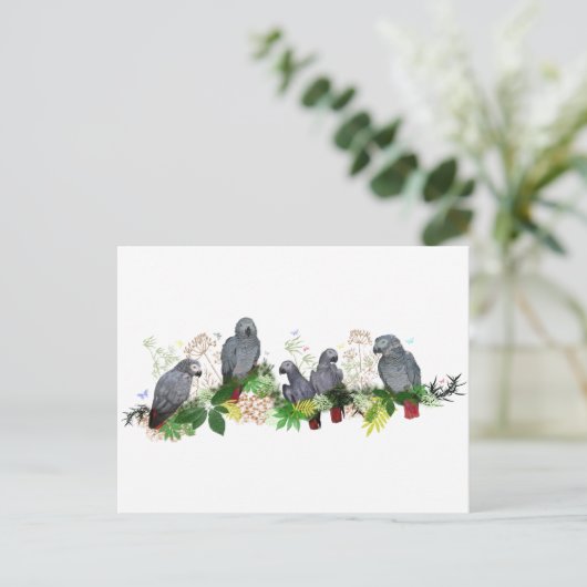 アフリカグレイサンバポストカード ポストカード (スタンド正面)