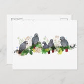 アフリカグレイサンバポストカード ポストカード (正面/裏面)