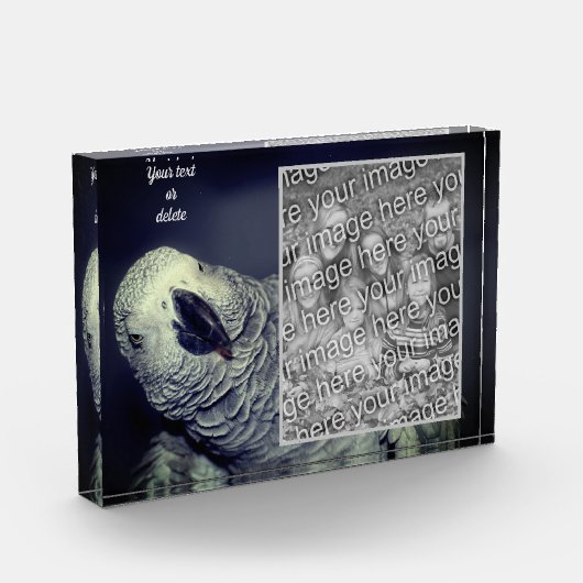 アフリカグレイパーソナライズされたオウムの追加 フォトブロック (左)