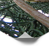 アフリカグレイプリント ポスター (角)