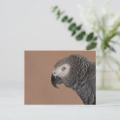 アフリカグレイ葉書 ポストカード (スタンド正面)