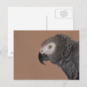 アフリカグレイ葉書 ポストカード (正面/裏面)