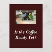 アフリカグレイ&カイケコーヒーフレンズ葉書 ポストカード (正面)