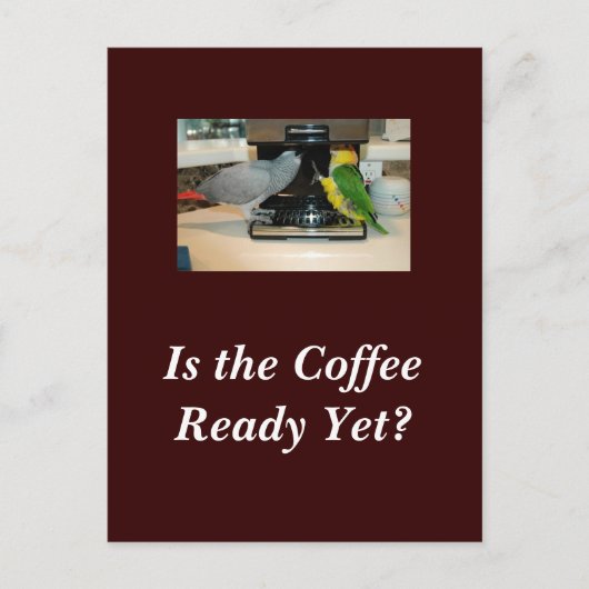 アフリカグレイ&カイケコーヒーフレンズ葉書 ポストカード (正面)