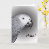 アフリカグレイ カード (黄色い花)