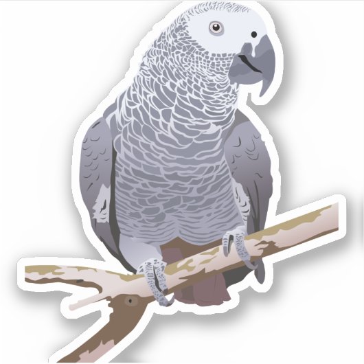 アフリカグレイ シール (正面)