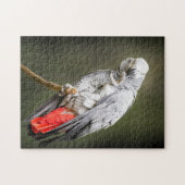 アフリカグレイ ジグソーパズル (横)