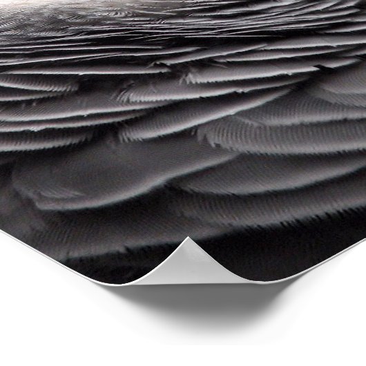 アフリカグレイ ポスター (角)