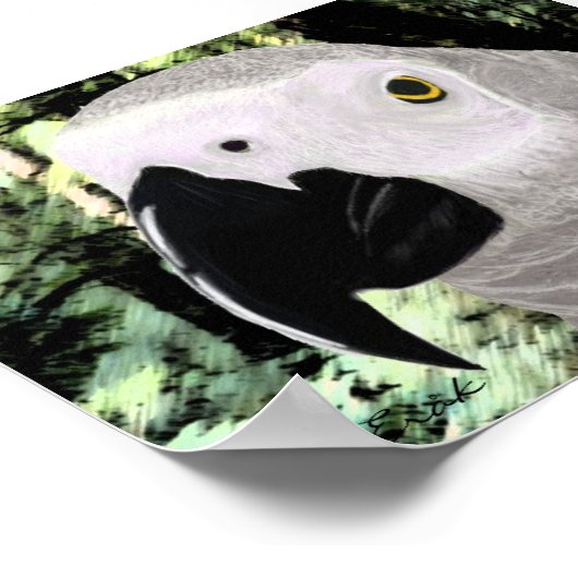 アフリカグレイ ポスター (角)