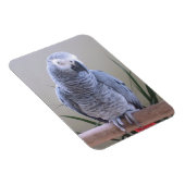 アフリカグレイ マグネット (右側)