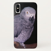 アフリカグレイParrot iPhone Xケース Case-Mate iPhoneケース (裏面)