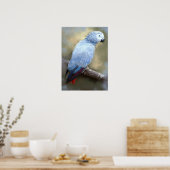 アフリカグレーオウムファインアートプリント ポスター (キッチン)