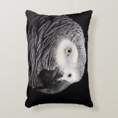 アフリカグレーオウム アクセントクッション (正面(垂直))