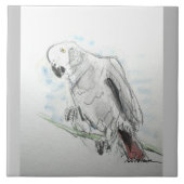 アフリカグレーオウム タイル (正面)