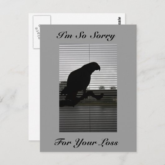 アフリカグレーオロットシルエット悔やみや弔慰はがき ポストカード (正面/裏面)