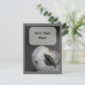 アフリカグレーパロット顔動物はがき ポストカード (スタンド正面)