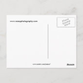 アフリカコドリクガモ ポストカード (裏面)