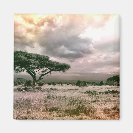 アフリカサハラセレンティサバンナ国立公園 マグネット (正面)