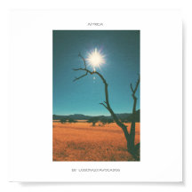 アフリカサバンナグラスツリービューパノラマポスター