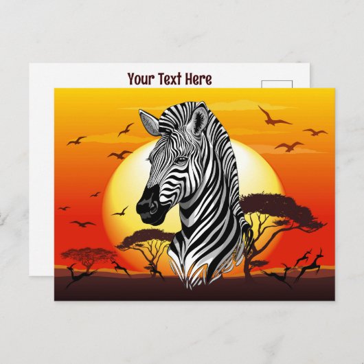 アフリカサバンナ野生動物 シーズンポストカード (正面/裏面)