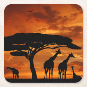 アフリカサファリアットサンセット スクエアペーパーコースター (正面)