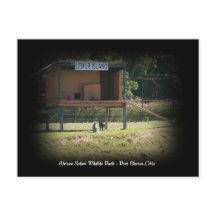 アフリカサファリワイルドライフパークレムールポストカード