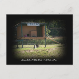 アフリカサファリワイルドライフパークレムールポストカード ポストカード