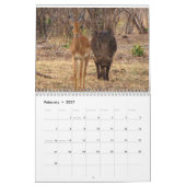 アフリカサファリ2018年カレンダー カレンダー (2月 2027)