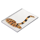 アフリカサンゴヘビ(Amasidelaps leusicus) ノートブック (左側)