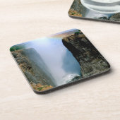 アフリカザンビアビクトリア滝国立公園 コースター (左側)