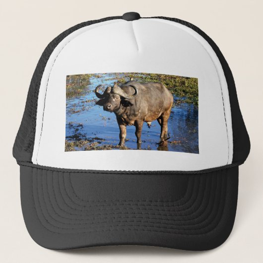 アフリカスイギュウのサファリの帽子及び帽子 キャップ (正面)