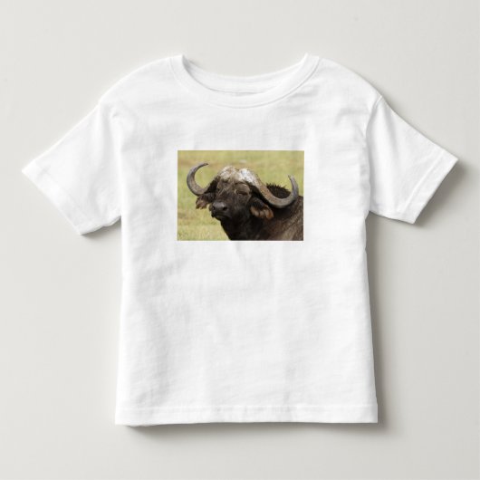 アフリカスイギュウ，Syncerus caffer トドラーTシャツ (正面)