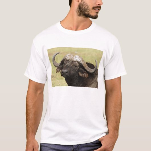 アフリカスイギュウ, Syncerus caffer Tシャツ (正面)