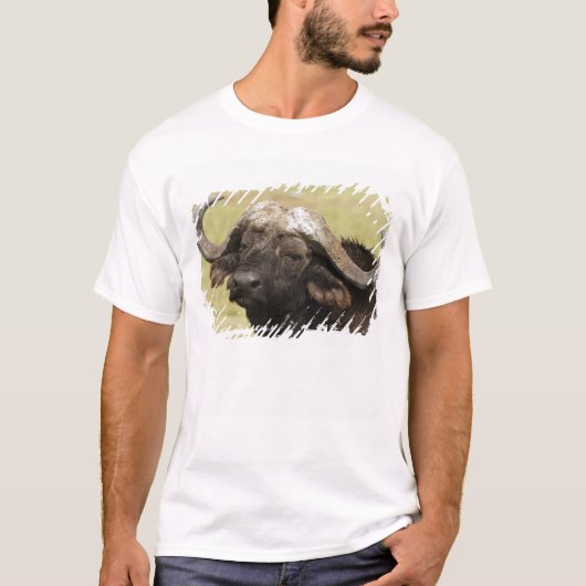 アフリカスイギュウ,Syncerus caffer Tシャツ (正面)