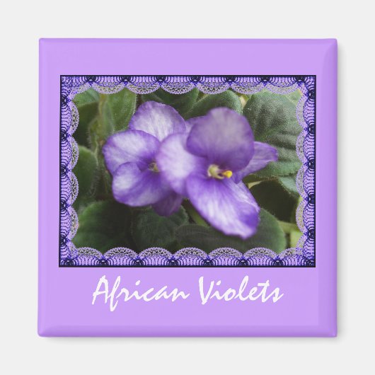 アフリカスミレ磁石 マグネット (正面)