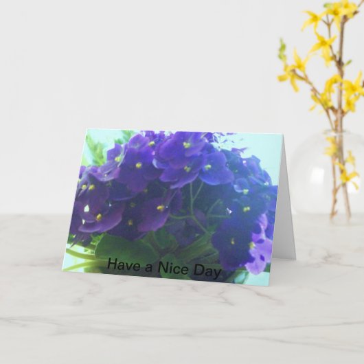 アフリカスミレ カード (黄色い花)